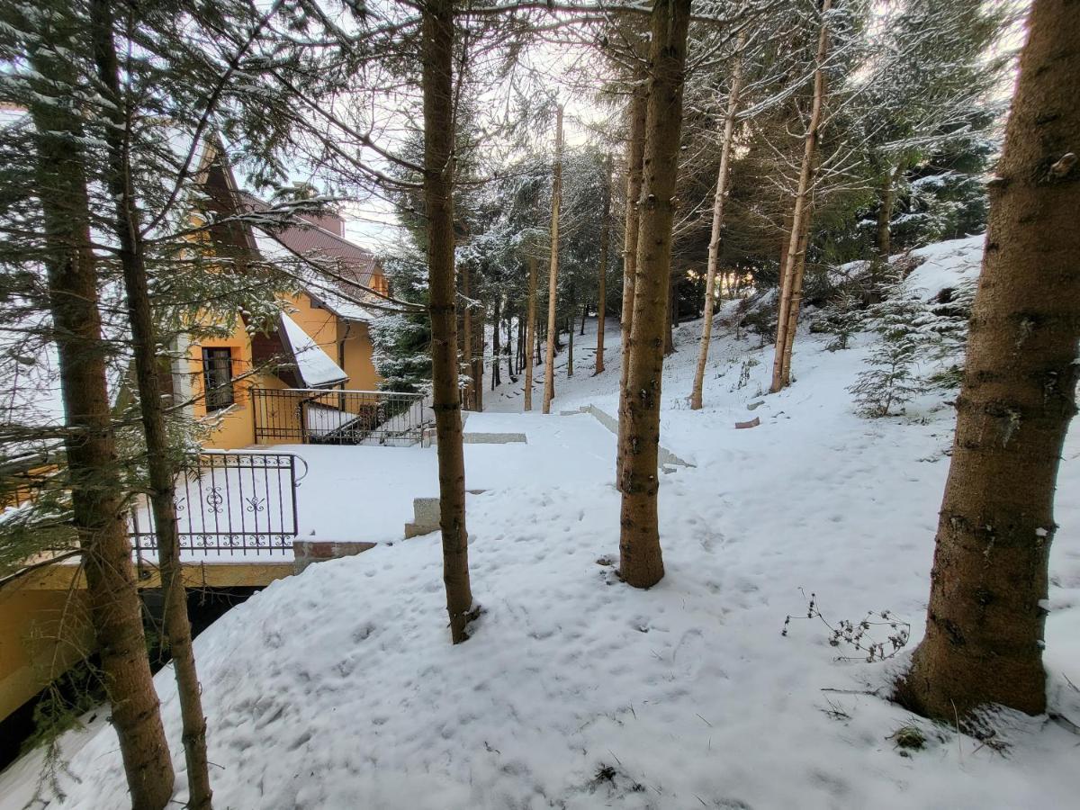Pod Laskiem Krosnica (Lesser Poland) Exterior foto